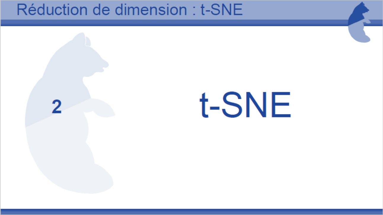 Tutoriel R&eacute;duction dimension t-SNE