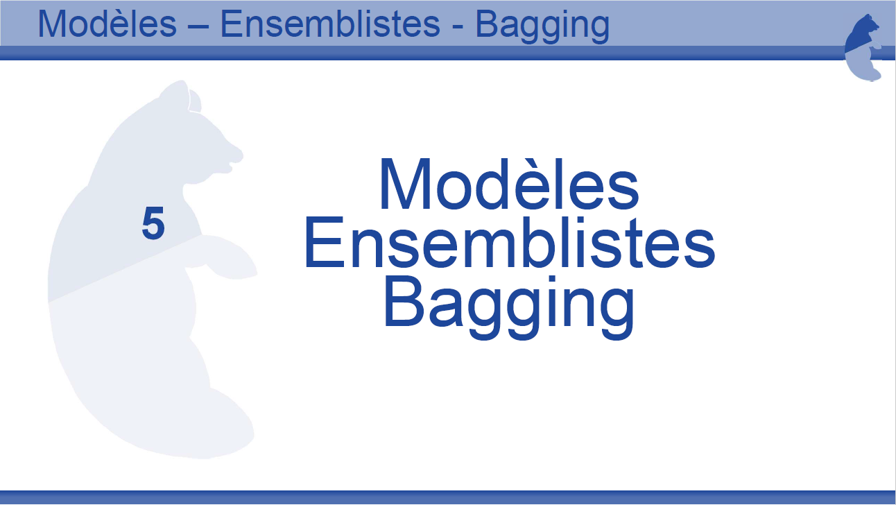 Tutoriel mod&egrave; BAGGING